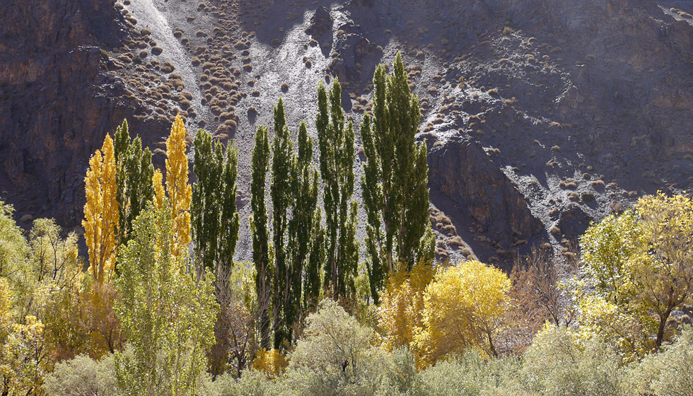 Осень в Андах