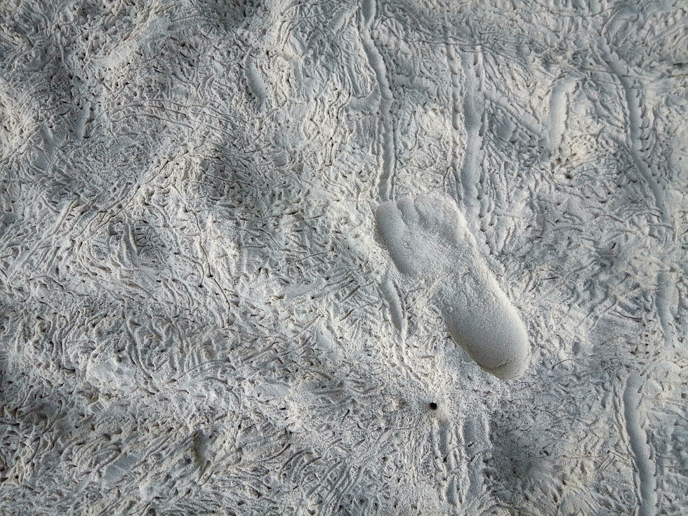 Следы крабов на песке