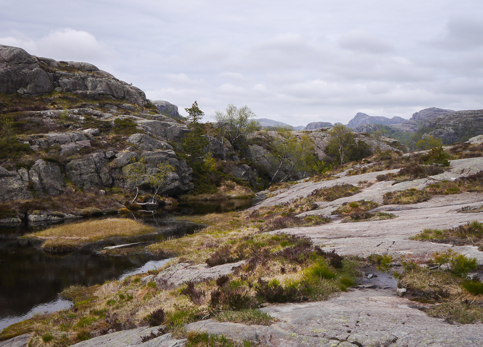 Природа Норвегии к востоку от Ставангера