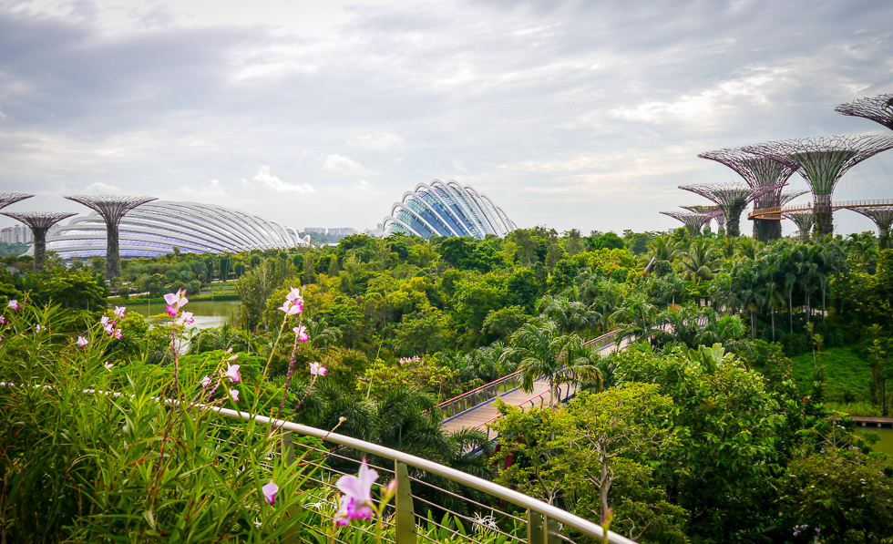 Инопланетный парк в Сингапуре