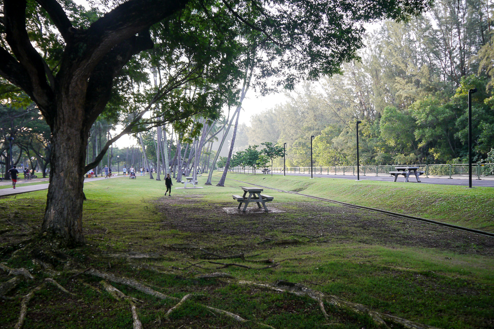 Место для пикника в Сингапуре