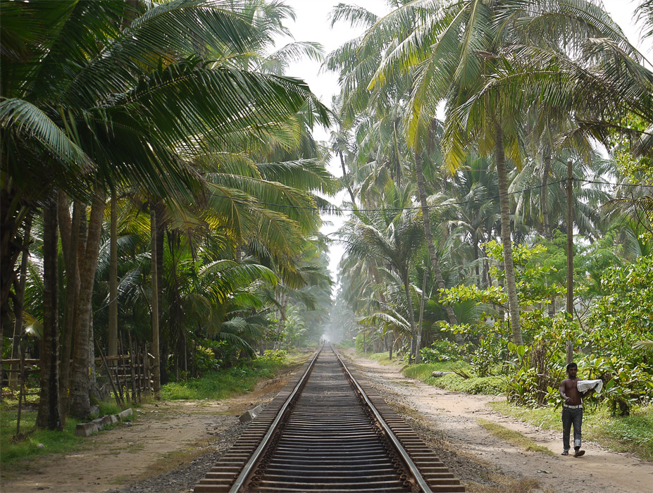 Железная дорога в джунглях